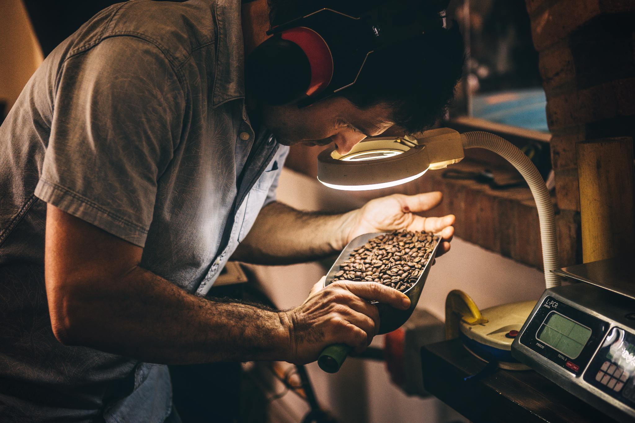 A man carefully inspects coffee beans under a lamp, showcasing the artisan process in Playa del Carmen.